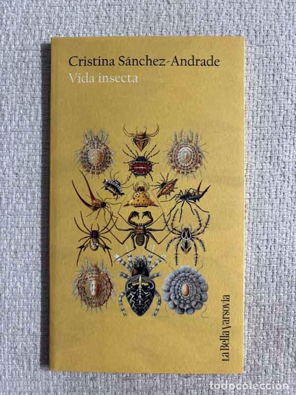 Libri di seconda mano: Vida insecta - Cristina S&aacute;nchez-Andrade
