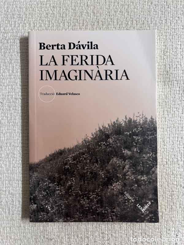 books: La ferida imagin&agrave;ria - Berta D&aacute;vila