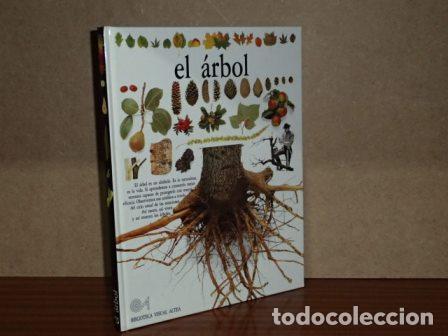 B&uuml;cher: EL &Aacute;RBOL - Burnie, David