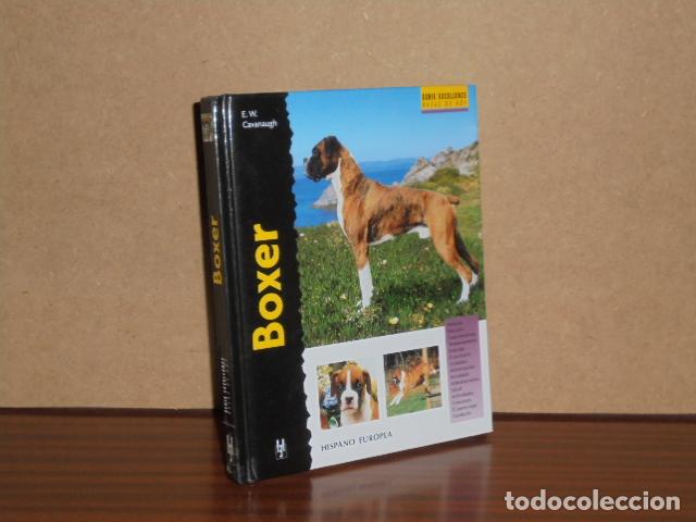 books: BOXER - Cavanaugh, E. W.