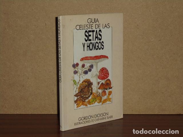 Libri di seconda mano: GU&Iacute;A CELESTE DE LAS SETAS Y HONGOS DE EUROPA - Dickson, Gordon