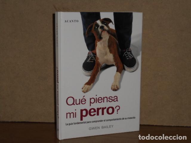 books: QU&Eacute; PIENSA MI PERRO? - Bailey, Gwen