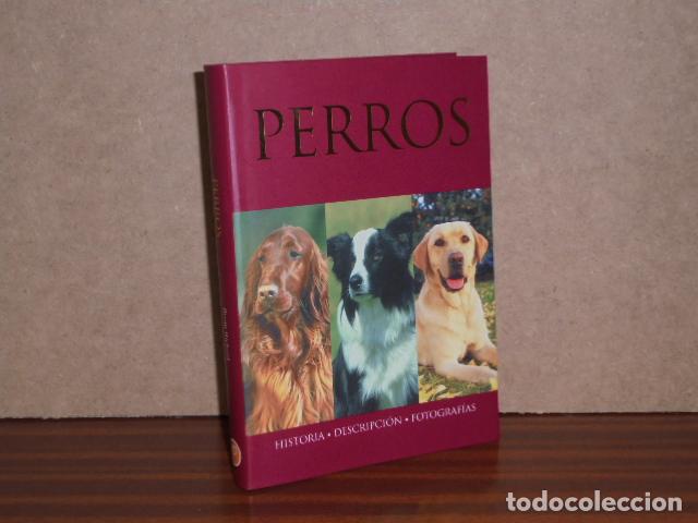 Libri di seconda mano: PERROS - Historia - Descripci&oacute;n - Fotograf&iacute;as - Richard, Bryan