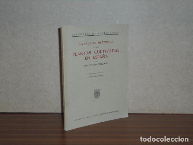 B&uuml;cher: CAT&Aacute;LOGO MET&Oacute;DICO DE LAS PLANTAS CULTIVADAS EN ESPA&Ntilde;A - Dant&iacute;n Cereceda, Juan