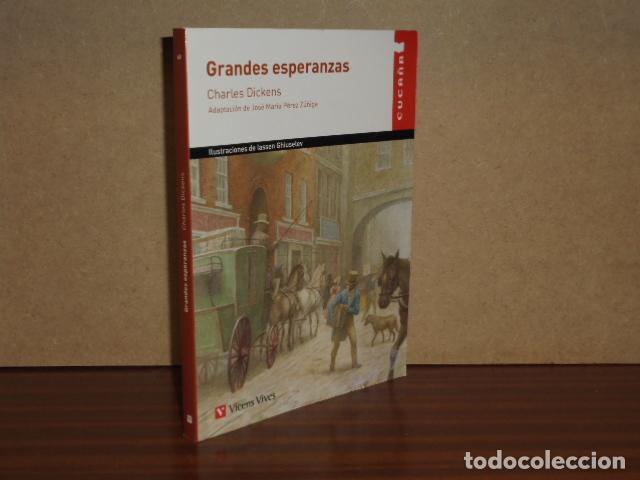 Libros: GRANDES ESPERANZAS - Dickens, Charles - Foto 1