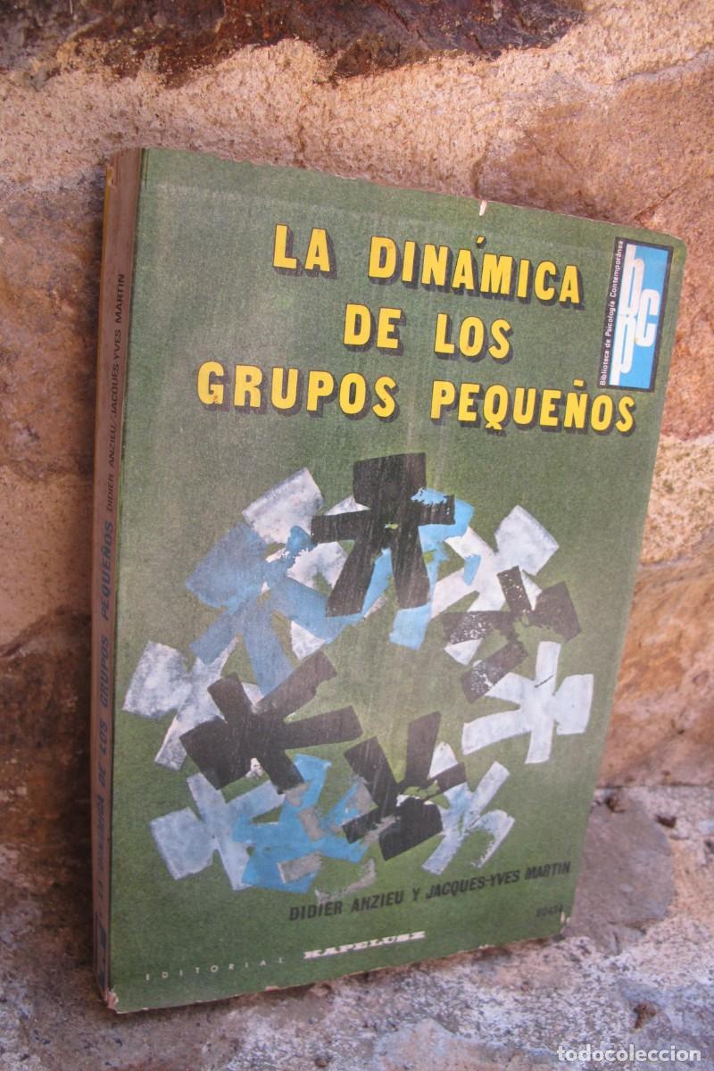 Libros: LA DINAMICA DE LOS GRUPOS PEQUE&Ntilde;OS. DIDIER ANZIEU Y JACQUES-YVES MARTIN