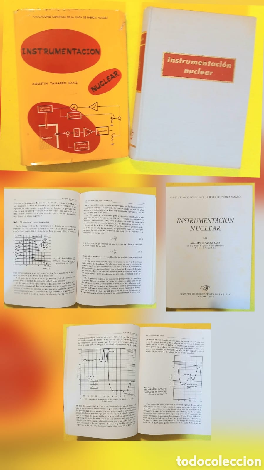 Libros: Instrumentaci&oacute;n nuclear