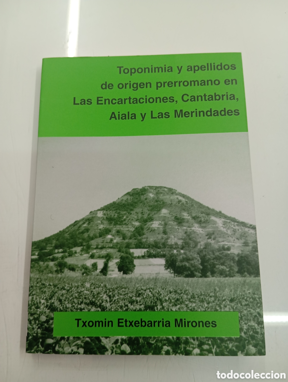 Libros: Toponimia apellidos origen prerromano Las Encartaciones Cantabria Aiala Merindades Txomin Etxebarria