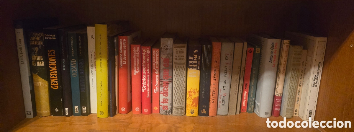 Libros: LOTE DE NOVELA VARIADA &mdash; UNOS 30 T&Iacute;TULOS &mdash; AUTORES ESPA&Ntilde;OLES E INTERNACIONALES Lote de 29 ejemplares