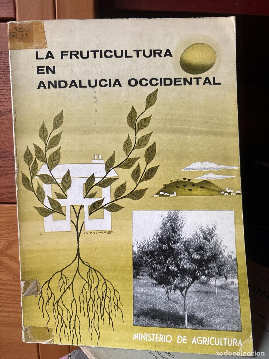 Libri di seconda mano: Primeras jornadas Frut&iacute;colas de Andaluc&iacute;a Occidental. Ponencias. La fruticultura en Andaluc&iacute;a Occid
