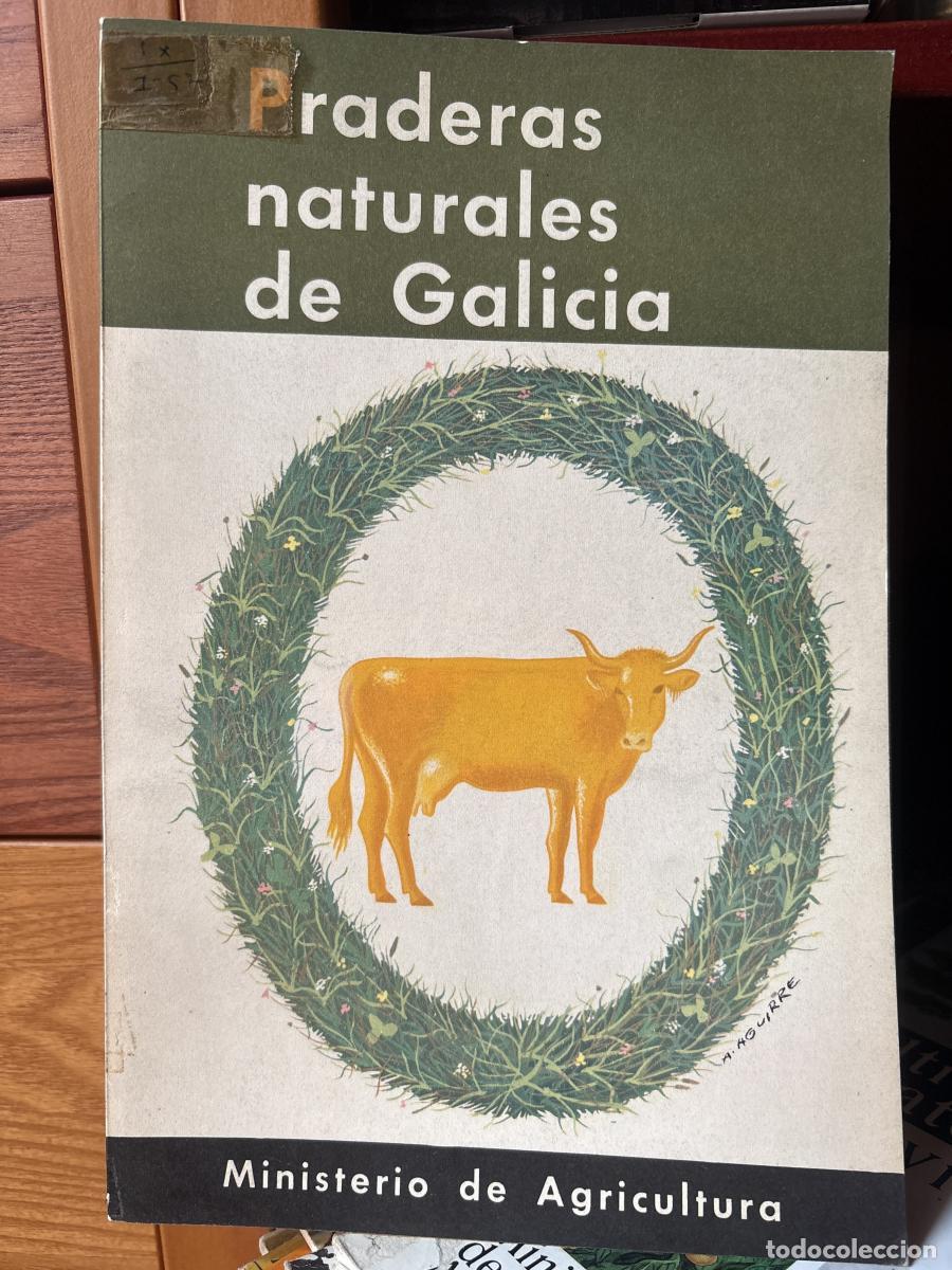 Praderas naturales de Galicia - tdk653