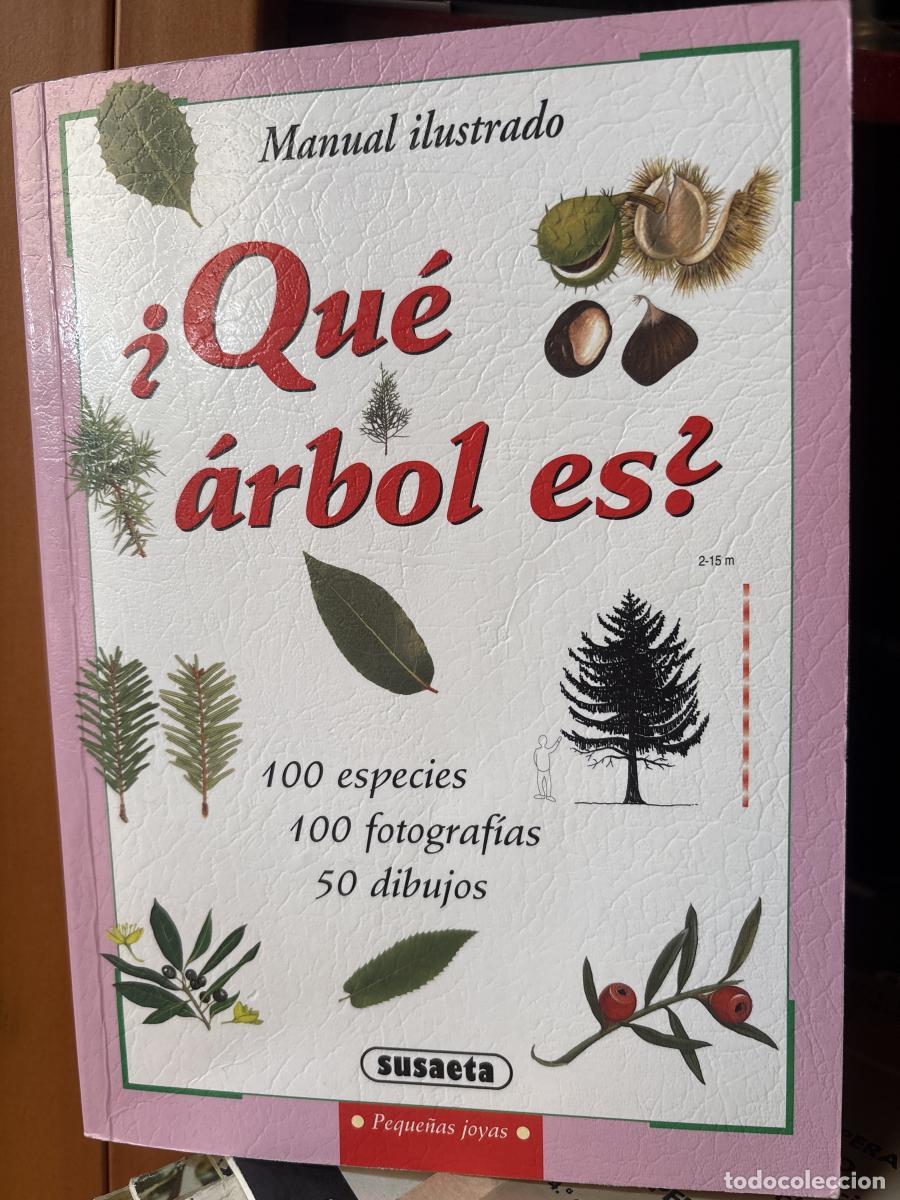 Libros: &iquest;Qu&eacute; &aacute;rbol es? - Equipo Susaeta tdk673