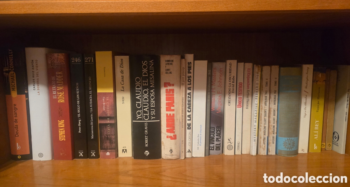 Libros: LOTE DE NOVELA Y ENSAYO VARIADO &mdash; UNOS 25 T&Iacute;TULOS Lote de libros de narrativa y ensayo variado,