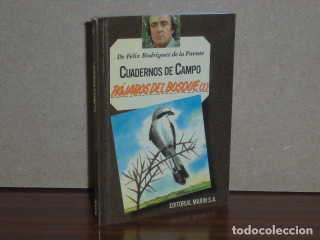 Libros: CUADERNOS DE CAMPO 8 - P&Aacute;JAROS DEL BOSQUE I - Rodr&iacute;guez de la Fuente, F&eacute;lix