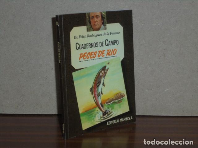 Libros: CUADERNOS DE CAMPO 14 - PECES DE R&Iacute;O - Rodr&iacute;guez de la Fuente, F&eacute;lix