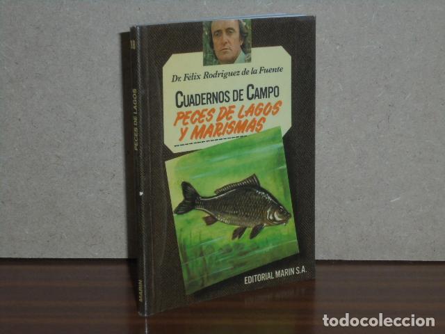 Libros: CUADERNOS DE CAMPO 18 - PECES DE LAGOS Y MARISMAS - Rodr&iacute;guez de la Fuente, F&eacute;lix