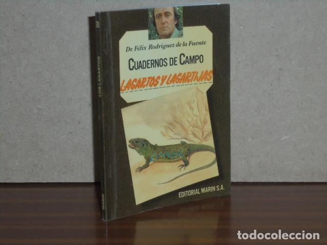 Libros: CUADERNOS DE CAMPO 20 - LAGARTOS Y LAGARTIJAS - Rodr&iacute;guez de la Fuente, F&eacute;lix