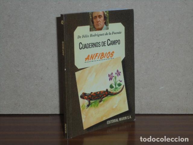 Libros: CUADERNOS DE CAMPO 42 - ANFIBIOS - Rodr&iacute;guez de la Fuente, F&eacute;lix