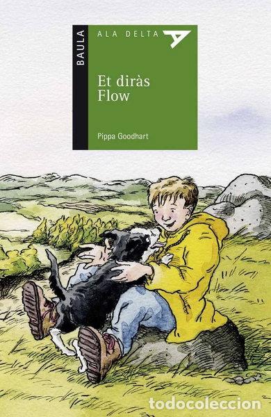 books: Et dir&agrave;s Flow- 9788447932986