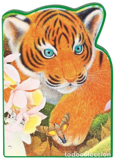 B&uuml;cher: Tavi le tigre: L'Inde- 9782841969319