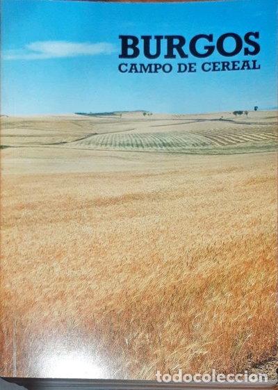 Libros: Burgos, campo de cereal- 9788487152047