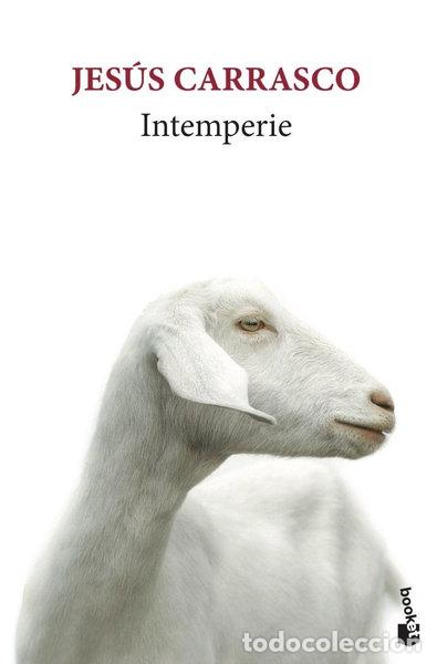Libros: Intemperie- 9788432235757