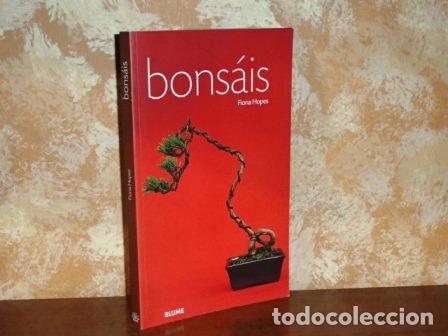 Libros: BONS&Aacute;IS - Hopes, Fiona