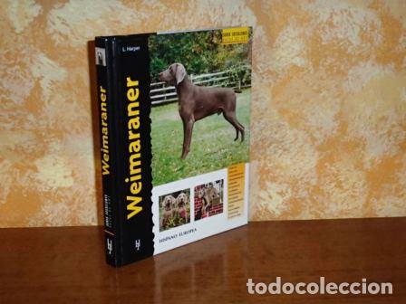 B&uuml;cher: WEIMARANER - Harper, Lavonia