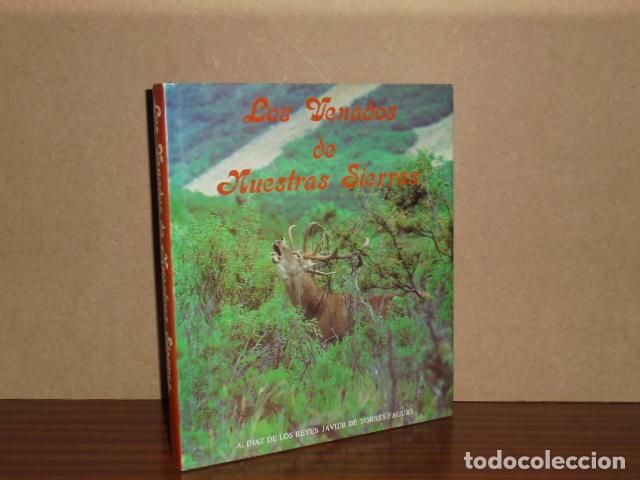 Libros: LOS VENADOS DE NUESTRAS SIERRAS - Textos de Miguel Delibes de Castro, Juan de Aizpuru y Francisco Le