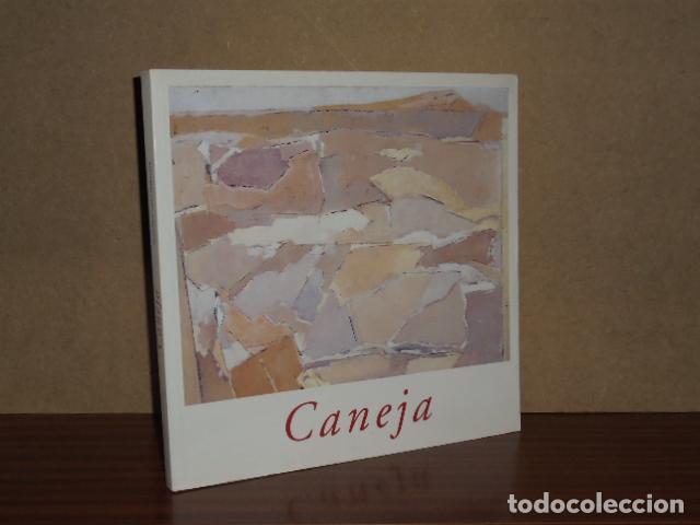 Libri di seconda mano: JUAN MANUEL CANEJA - Calvo Serraller, Francisco