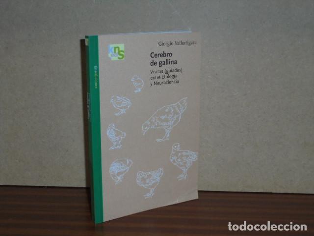 Libros: CEREBRO DE GALLINA - Visitas (guiadas) entre Etolog&iacute;a y Neurociencia - Vallortigara, Giorgio