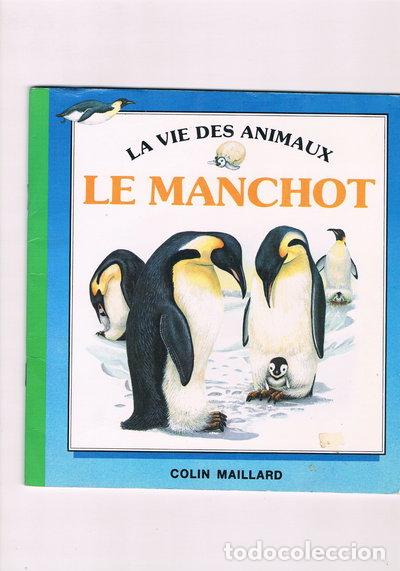 Livres: Le Manchot- 9782261025077