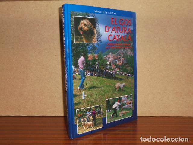 books: EL GOS D'ATURA CATAL&Agrave; (Perro pastor catal&aacute;n - Le chien berger catalan) - G&oacute;mez Toldr&agrave;, Salvador