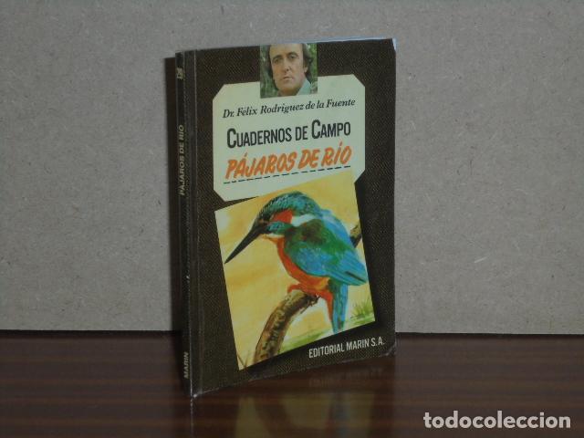 Libros: CUADERNOS DE CAMPO 29 - P&Aacute;JAROS DE R&Iacute;O - Rodr&iacute;guez de la Fuente, F&eacute;lix