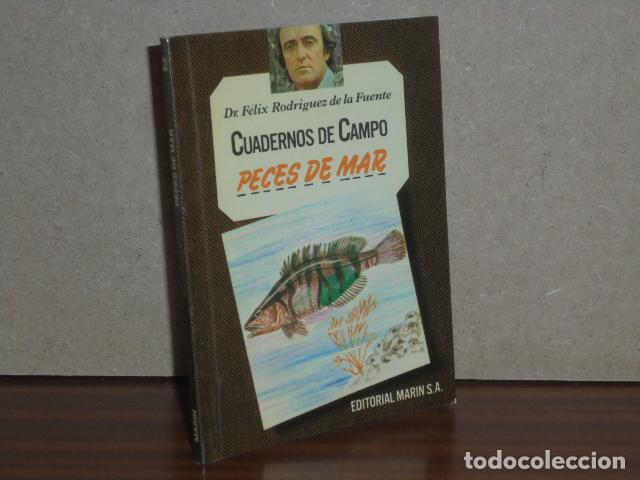 Libros: CUADERNOS DE CAMPO 32 - PECES DE MAR - Rodr&iacute;guez de la Fuente, F&eacute;lix