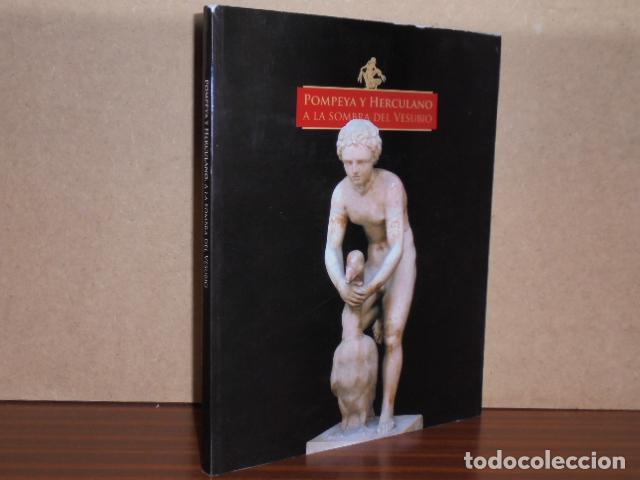 Libros: POMPEYA Y HERCULANO - A LA SOMBRA DEL VESUBIO - VV. AA.