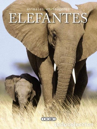 B&uuml;cher: Elefantes- 9788499135373