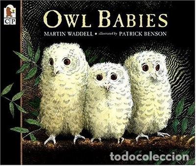 Libros: OWL BABIES- 9780763617103