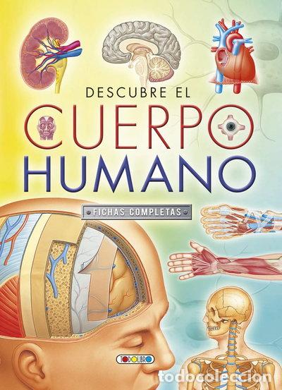Livres: Descubre el cuerpo humano- 9788490376928