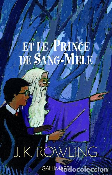 Livres: Harry Potter et le Prince de Sang-M&ecirc;l&eacute;- 9782070572670