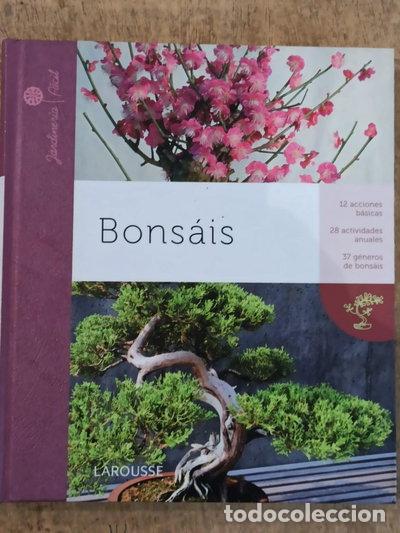 Libros: Bons&aacute;is- 9788415411369