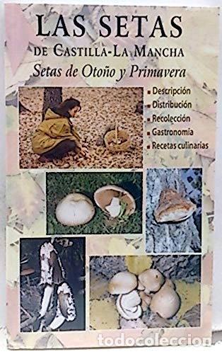 Livres: Las setas de Castilla-La Mancha: setas de oto&ntilde;o y primavera- 9788493231774