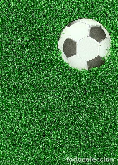 Libros: Bojos pel futbol!- 9788424620547