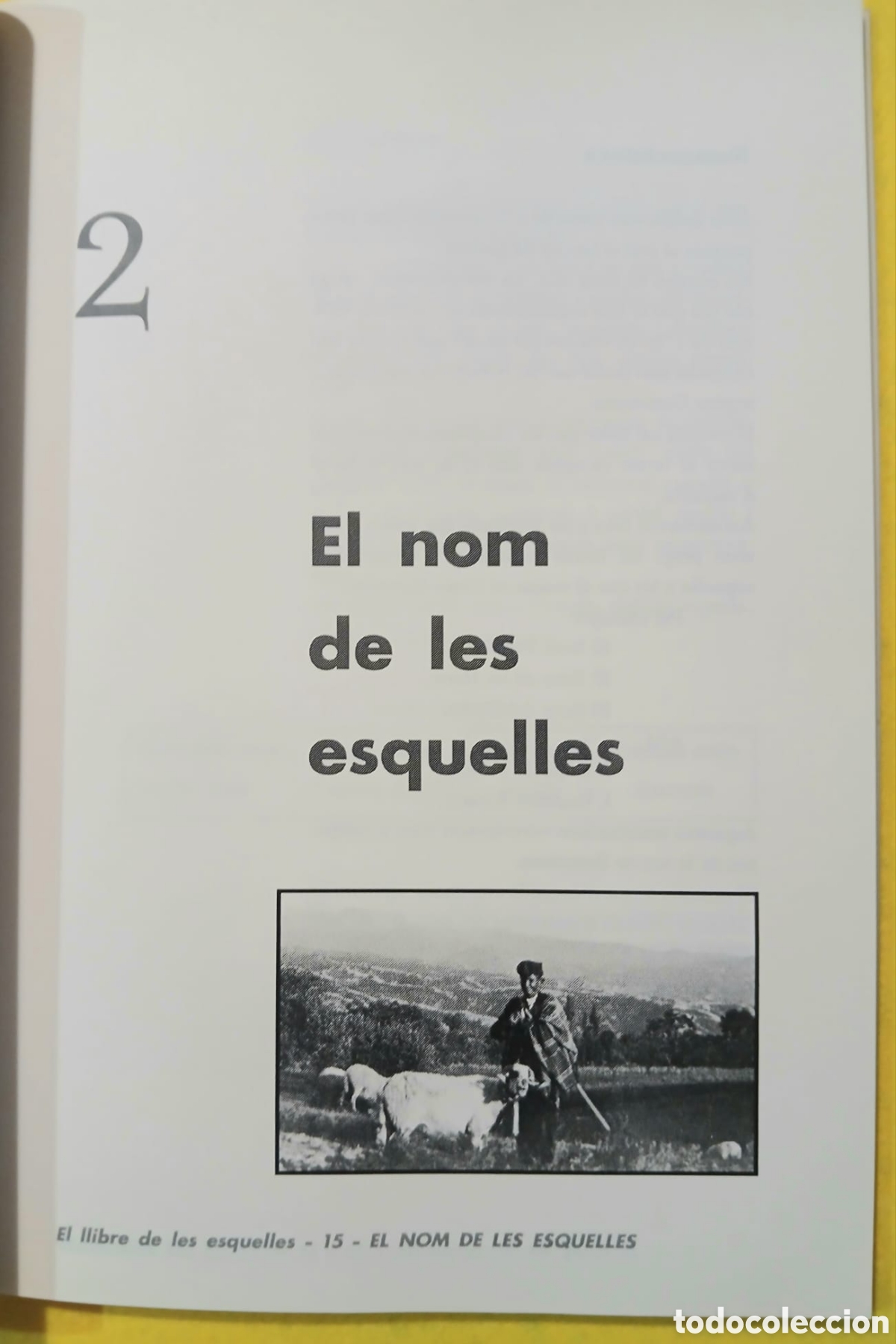 Libros: El llibre de les esquelles - Foto 5