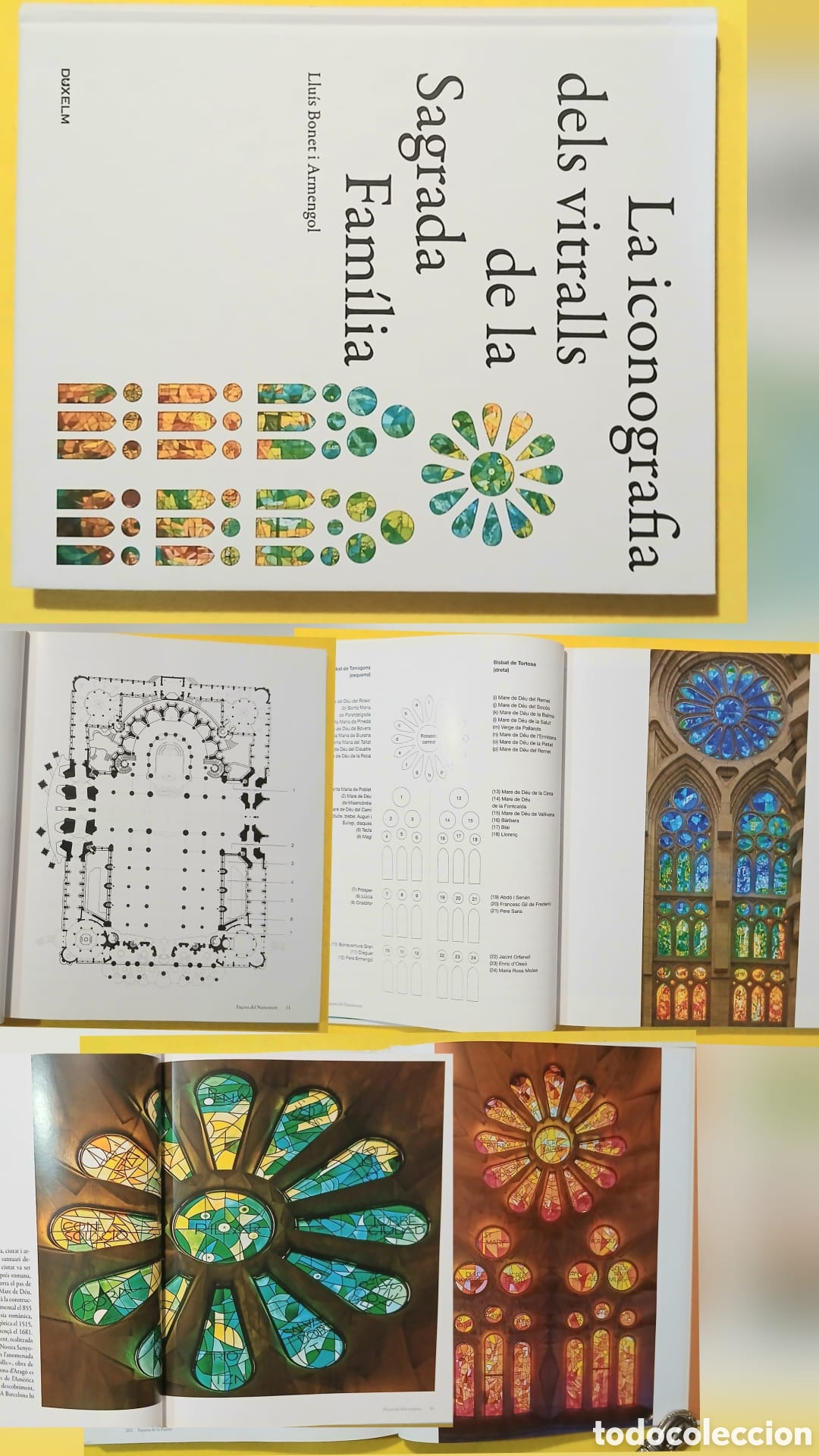 Libros: la iconografia dels vitralls de la sagrada familia