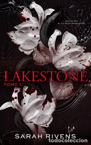 books: Lakestone Tome 1- 9782017207030