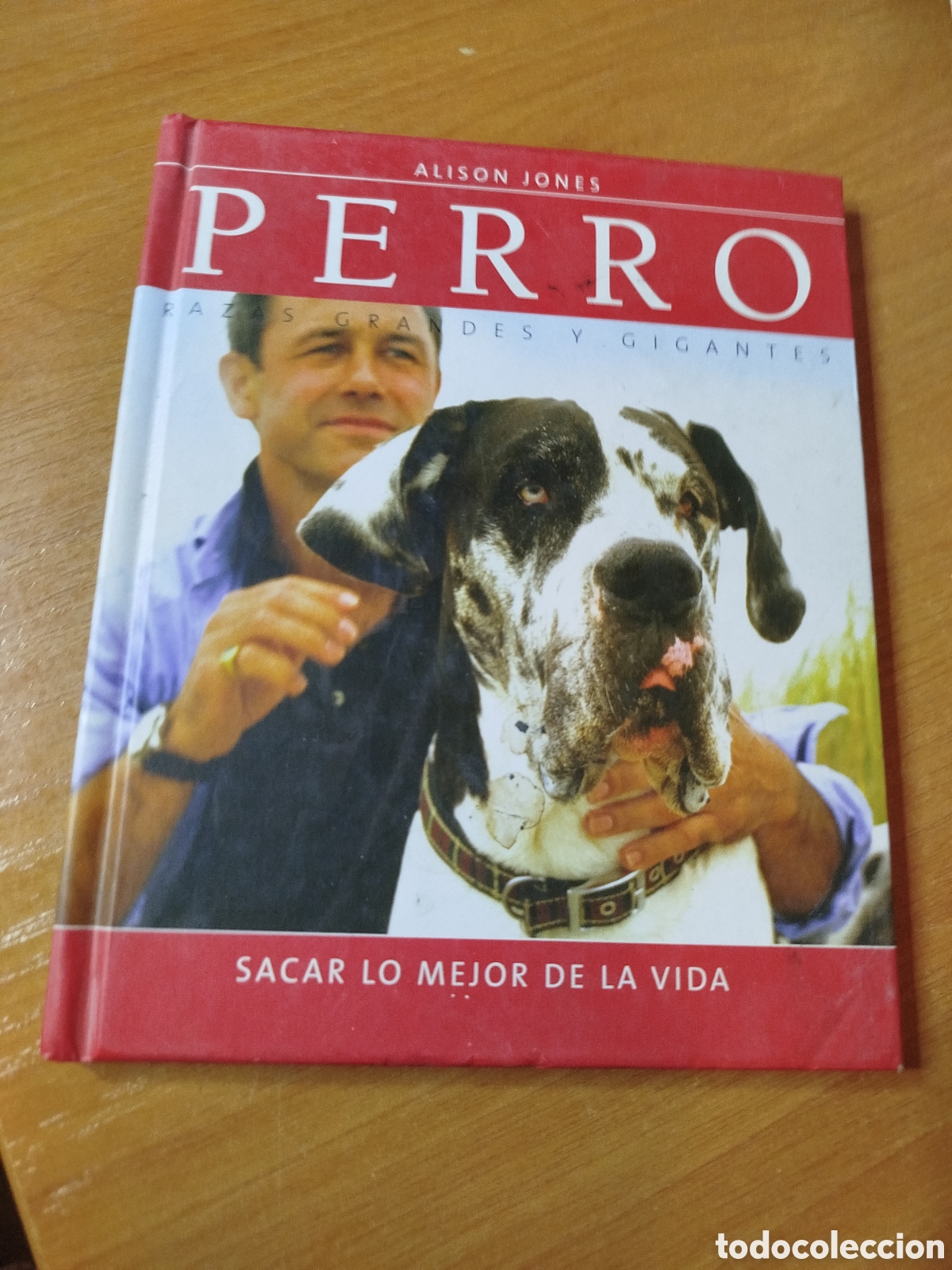 Libros: Perro. Razas grandes y gigantes. Sacar lo mejor de la vida. Allison Jones