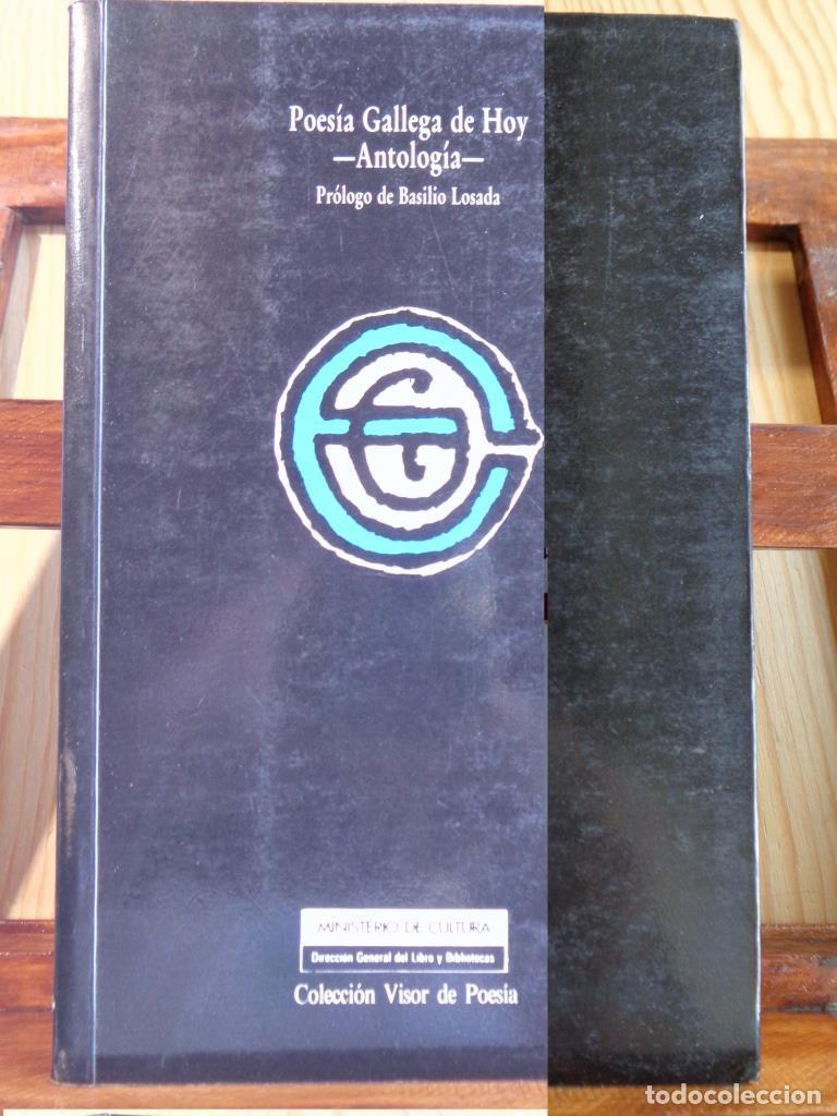 Libros: POES&Iacute;A GALLEGA DE HOY. Antolog&iacute;a (Edici&oacute;n Biling&uuml;e Gallego - Espa&ntilde;ol). - VARIOS AUTORES