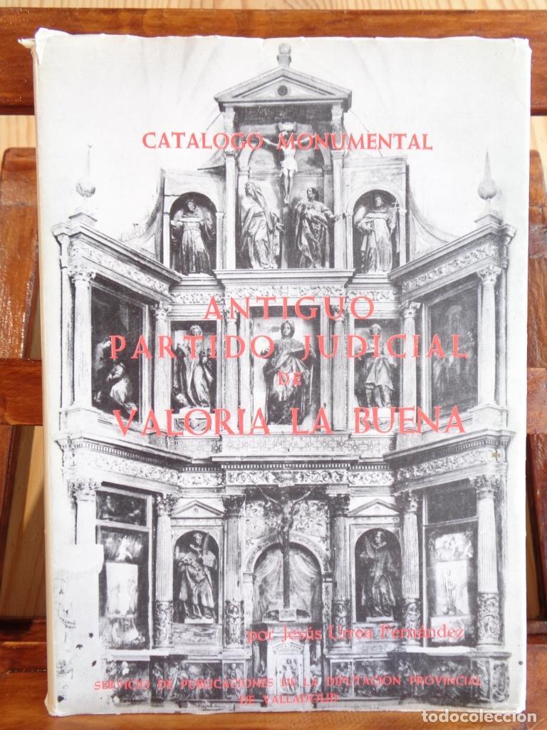 Libros: CAT&Aacute;LOGO MONUMENTAL de la provincia de Valladolid. Tomo VII. ANTIGUO PARTIDO JUDICIAL DE VALORIA LA