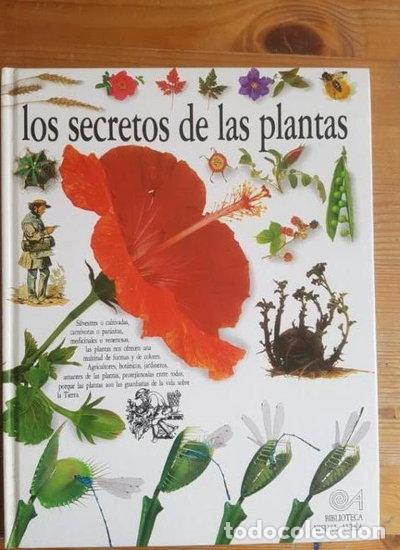 Libros: Los secretos de las plantas- 9788437237190